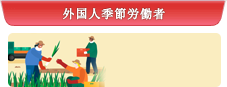 外国人季節労働者